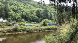 The Oregon Coast Scenic Railroad train travels past Barview Campground